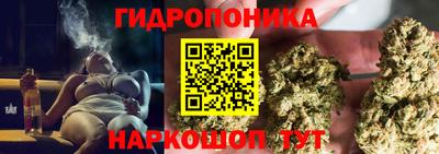 ГАЛЛЮЦИНОГЕННЫЕ ГРИБЫ Дубна