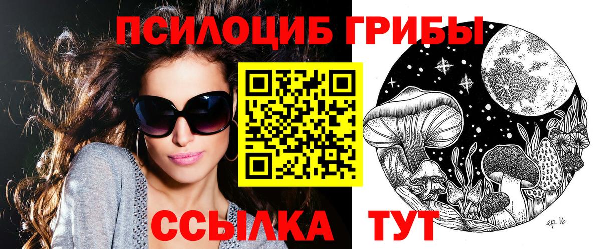 Можга  Псилоцибиновые грибы прущие грибы  Вход с VPN 